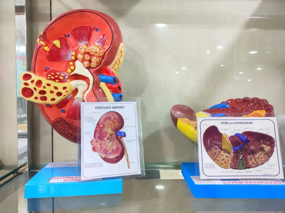 Al Ameen Educational and Medical Foundations New Life Ayurvedic College campus