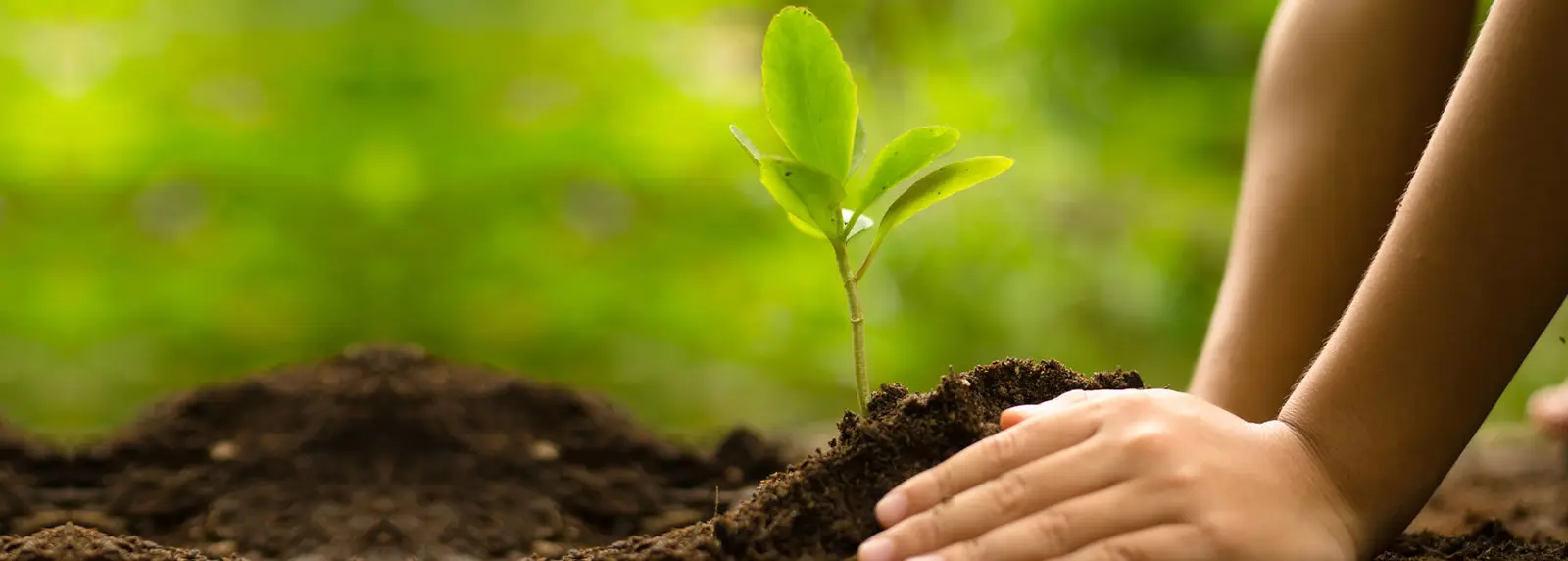 Ankleshwar Environmental Preservation Society campus