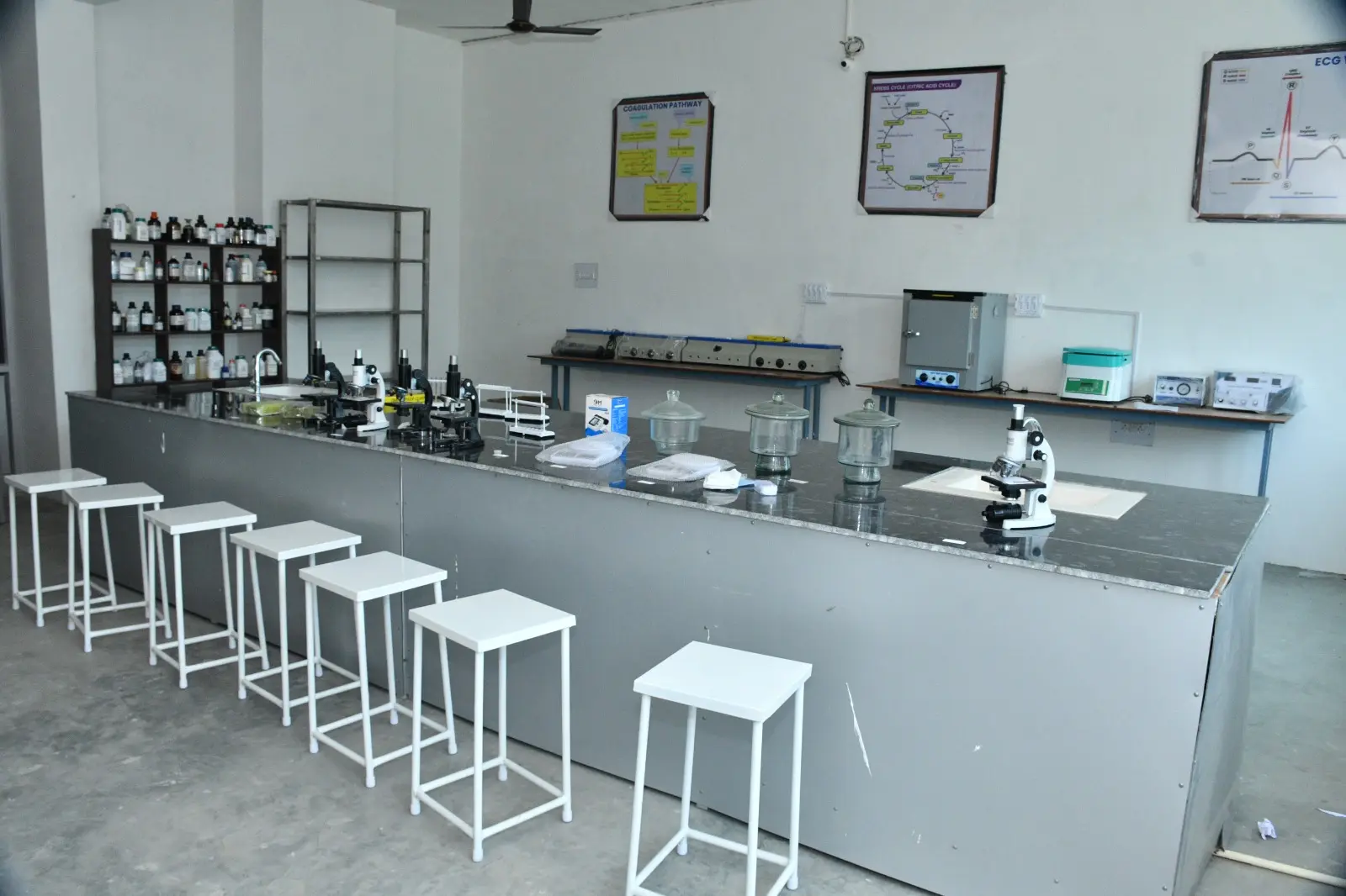 Apex Institute of Vldd campus