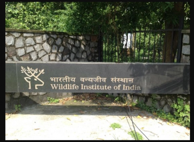 Wildlife Institute of India campus