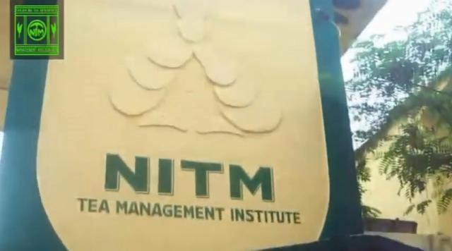NITM campus