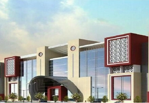Delhi Institute of Aeronautical Sciences campus