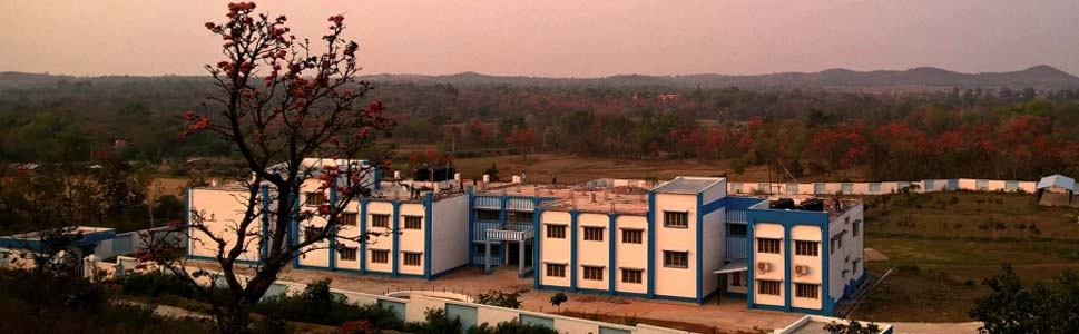 Government General Degree College, Manbazar II campus