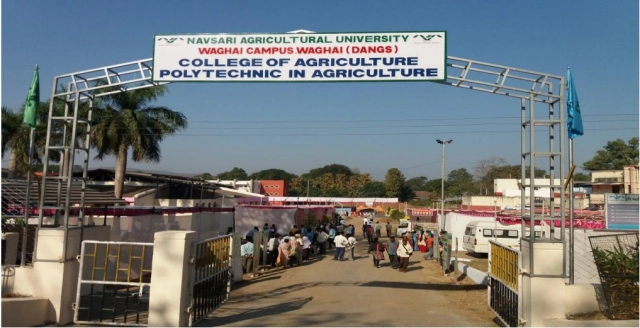 College of Agriculture, Waghai, Navsari Agricultural University campus