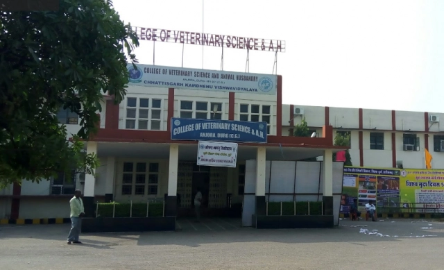 College of Veterinary Science and Animal Husbandry – Durg, Chhattisgarh Kamdhenu Vishwavidyalaya campus