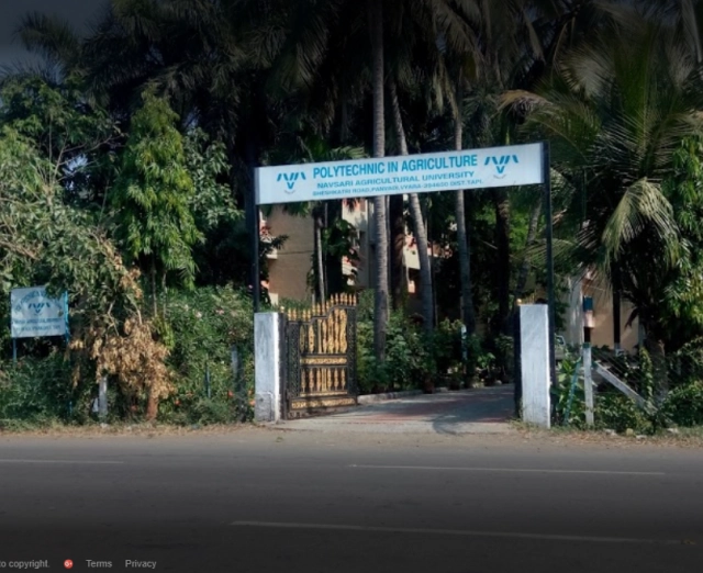 Polytechnic in Agriculture, Vyara, Navsari Agricultural University campus