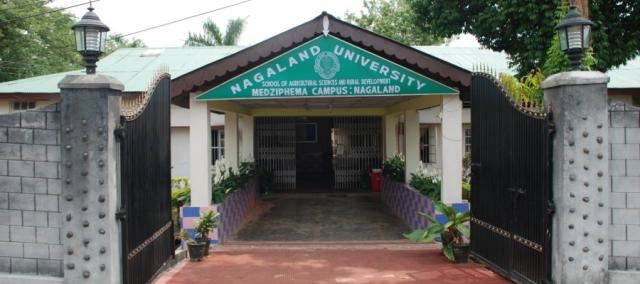 Nagaland University – Medziphema Campus campus