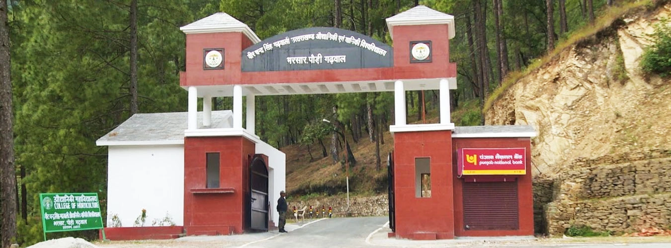 Veer Chandra Singh Garhwali Uttarakhand University of Horticulture and Forestry campus