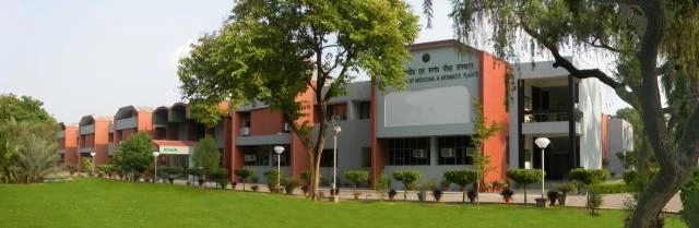 Central Institute of Medicinal and Aromatics Plants, Uttar Pradesh campus