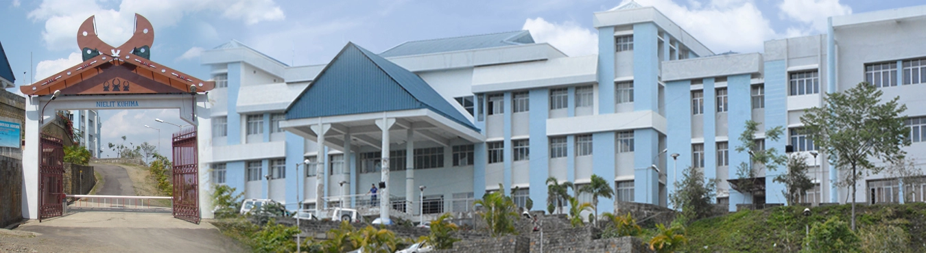 National Institute of Electronics and Information Technology, Kohima campus