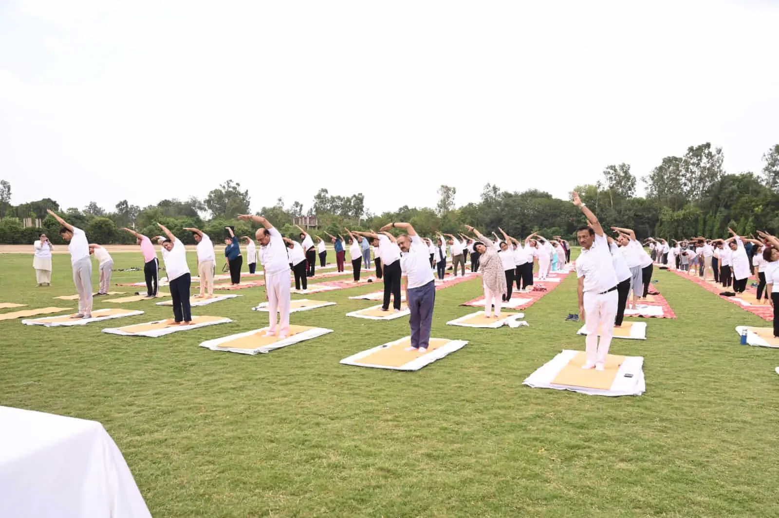 College of Physiotherapy, Pgims campus