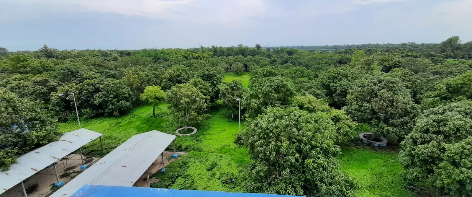 Government General Degree College campus