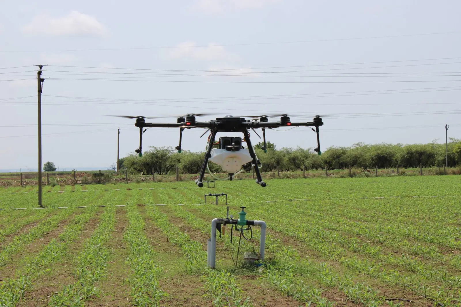 J.C.Diwakar Reddy Agricultural College, Tadiptri campus