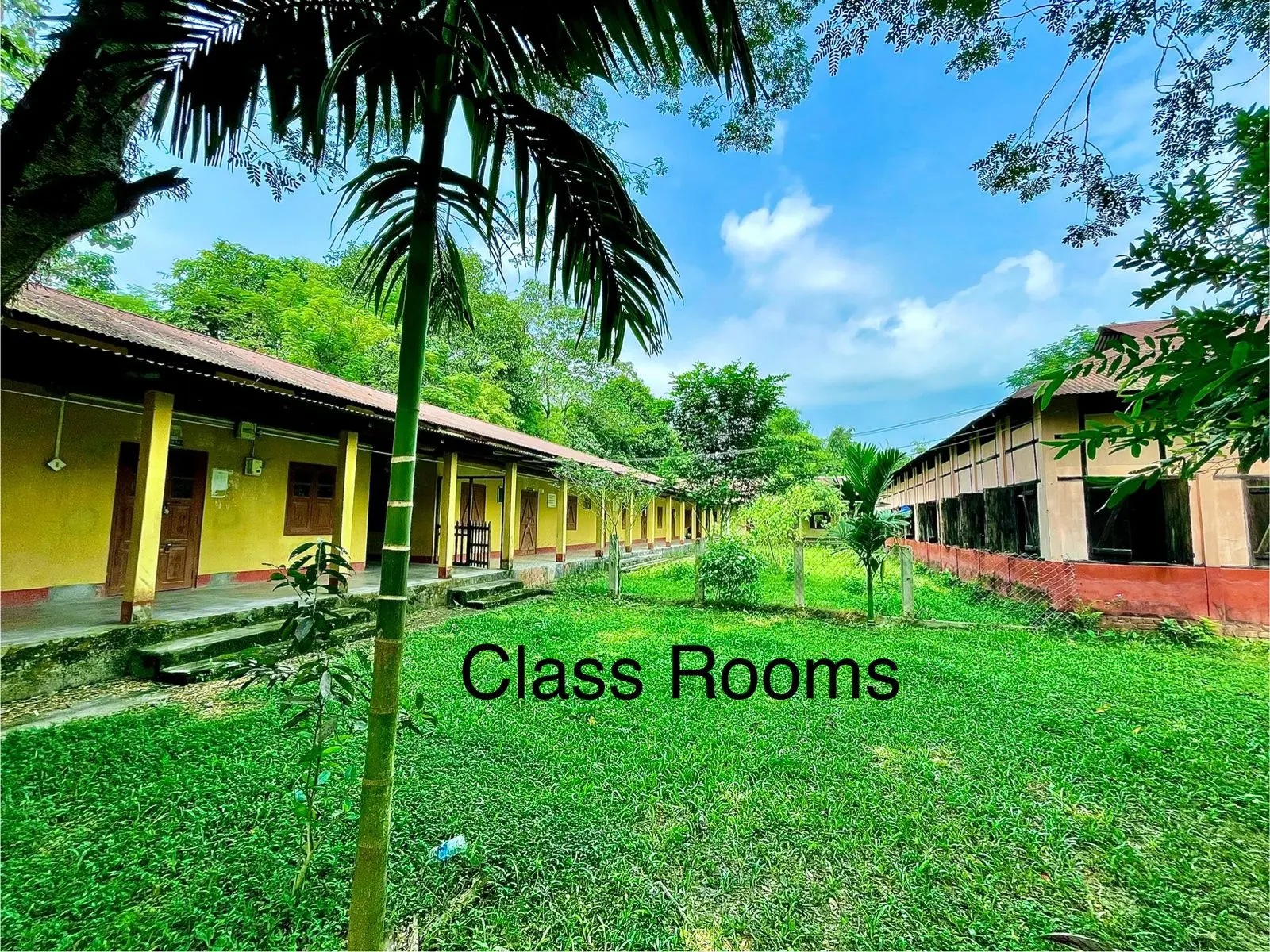 Janata College campus