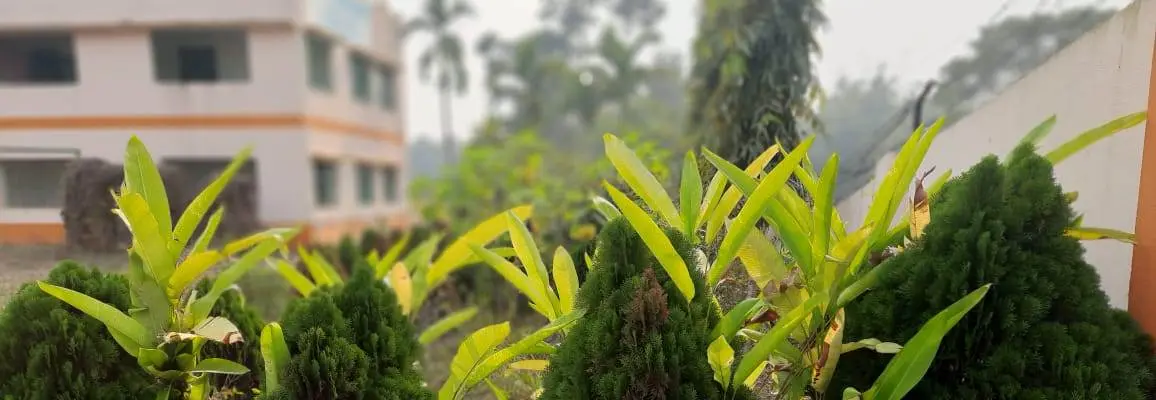Joypur College of Education campus