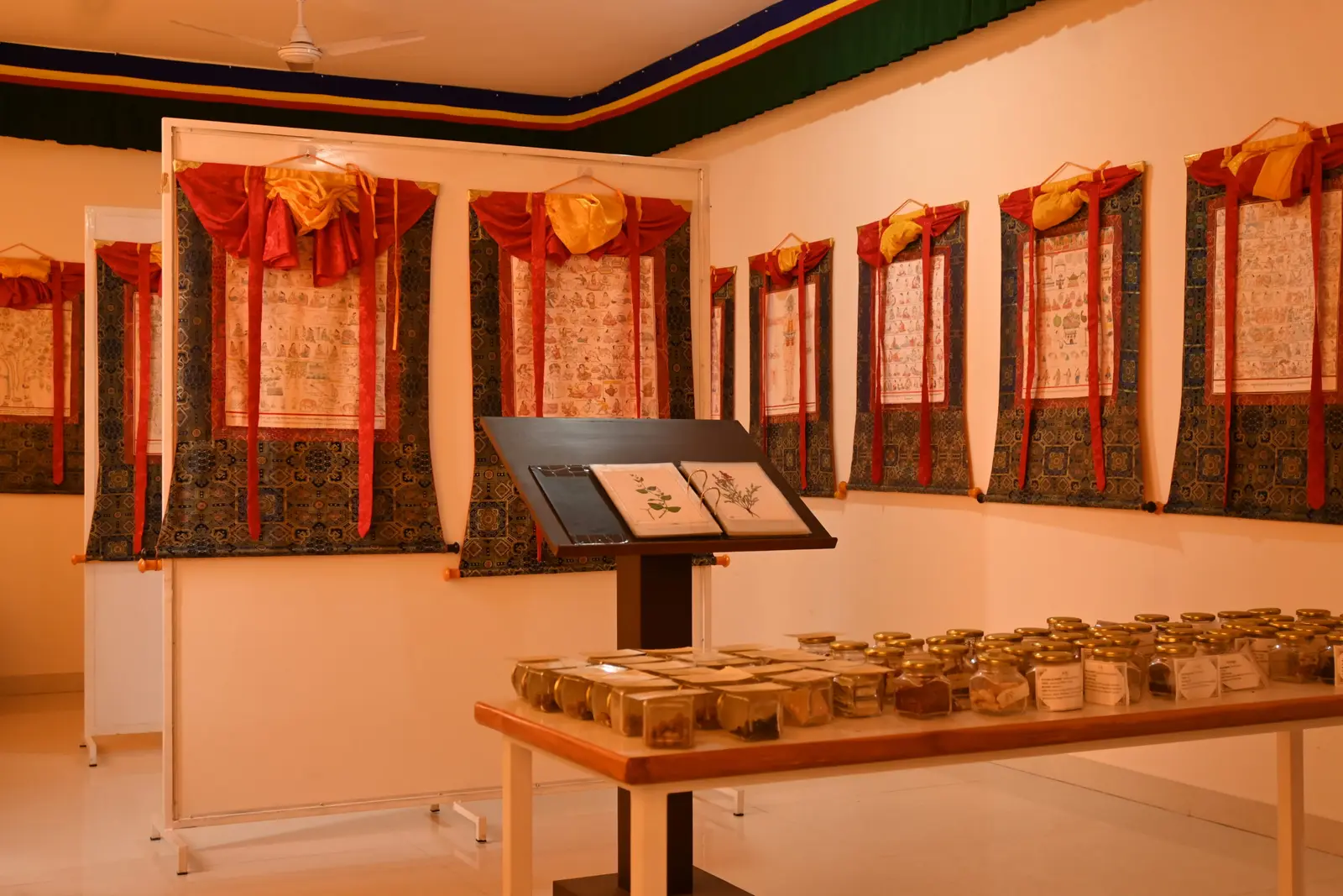 Men-Tsee-Khang (Sowa Rigpa) Medical College campus