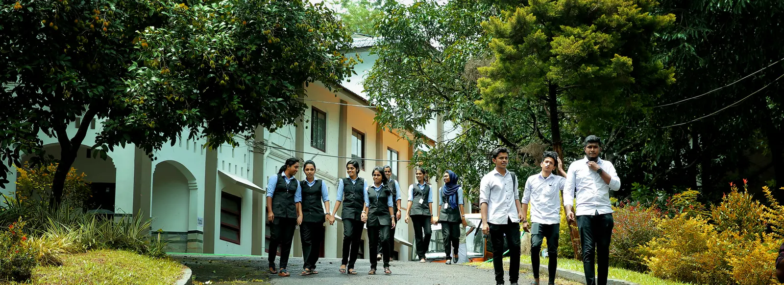 M.E.S College, Erumely campus