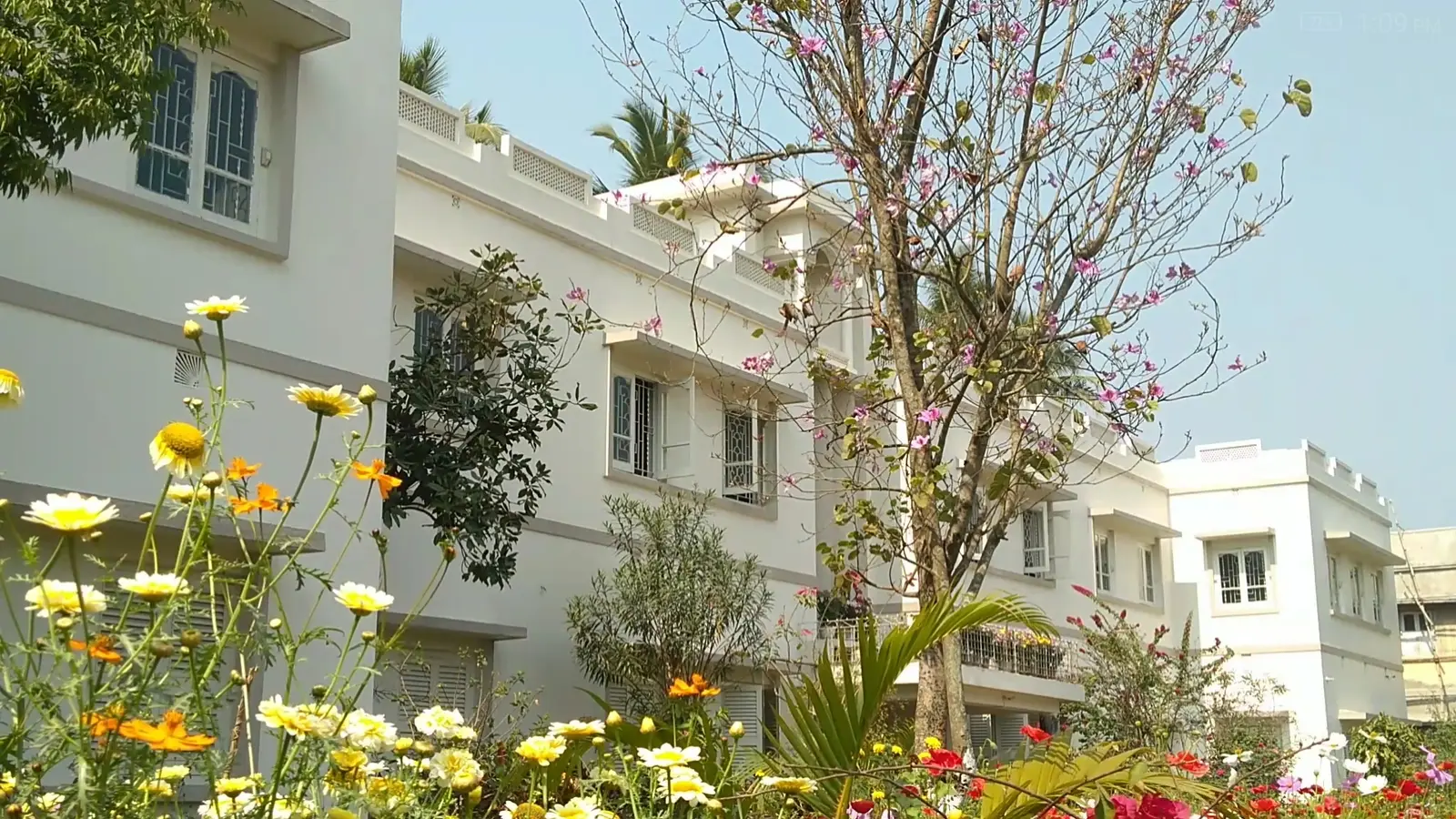 R.K. Mission Sarada Mandir Govt. Sponsored Primary Teachers Training Institute campus