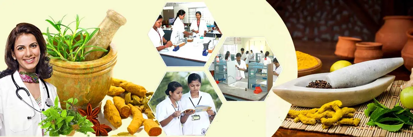 S.C.Mutha Aryangla Vaidyak College campus