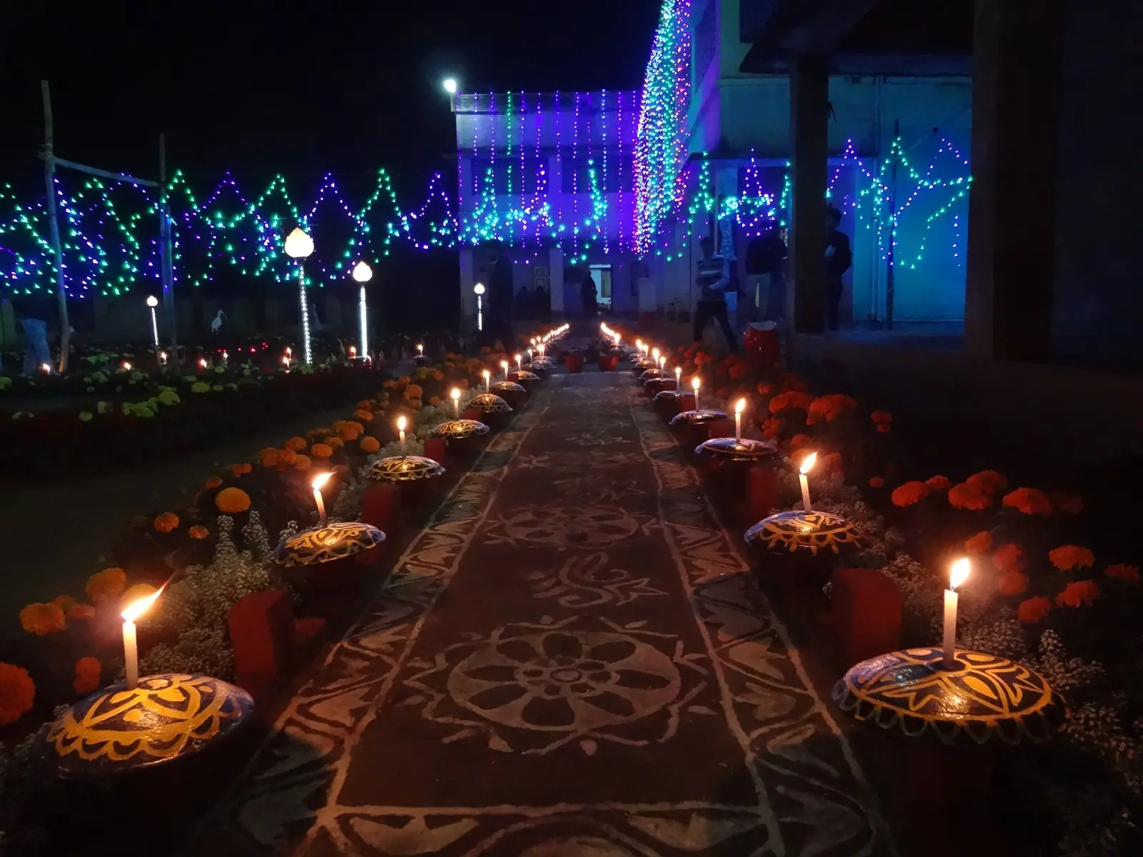 Sarenga Govt. Sponsord P.T.T.I campus