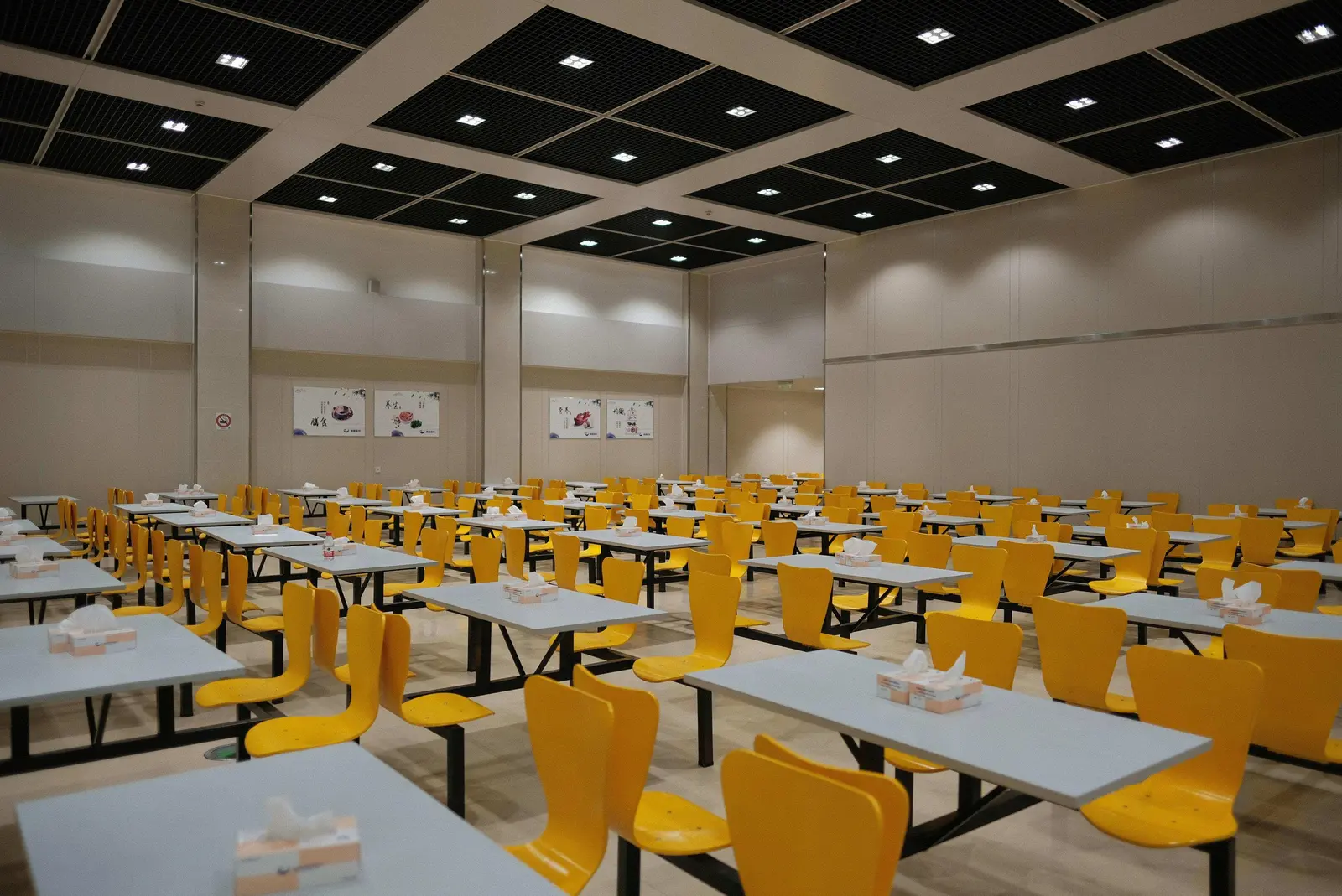 Shri Dhaneshwari Manav Vikas Mandal's Diploma In Pharmacy Institute campus