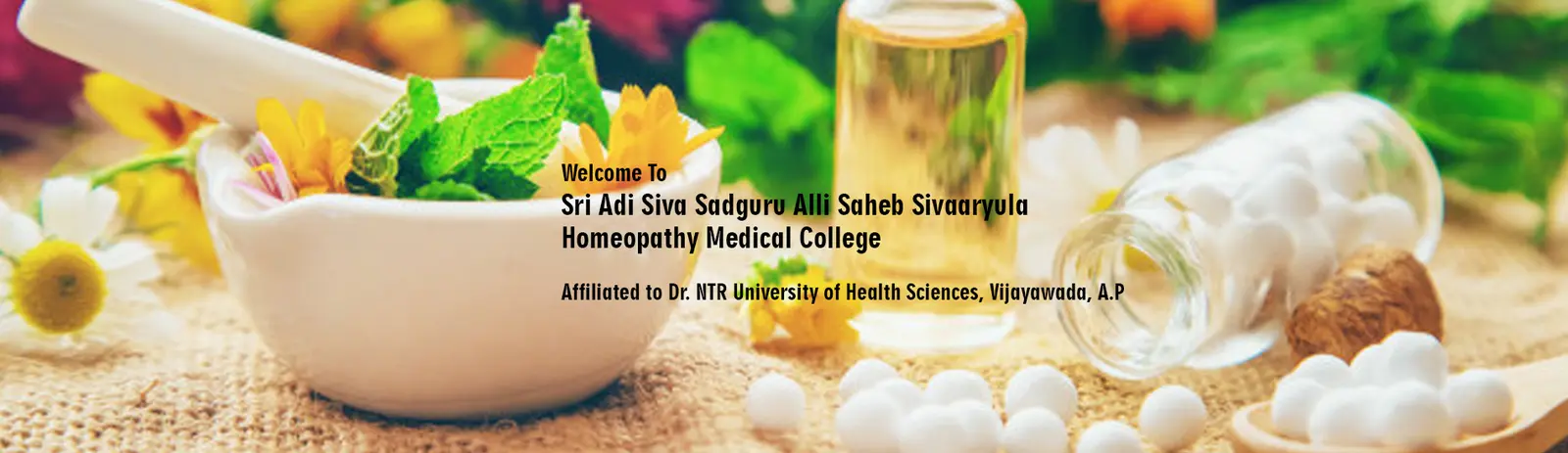 Sri Adi Shiva Sadguru Alli Saheb Sivaaryula Homeopathy Medical College campus