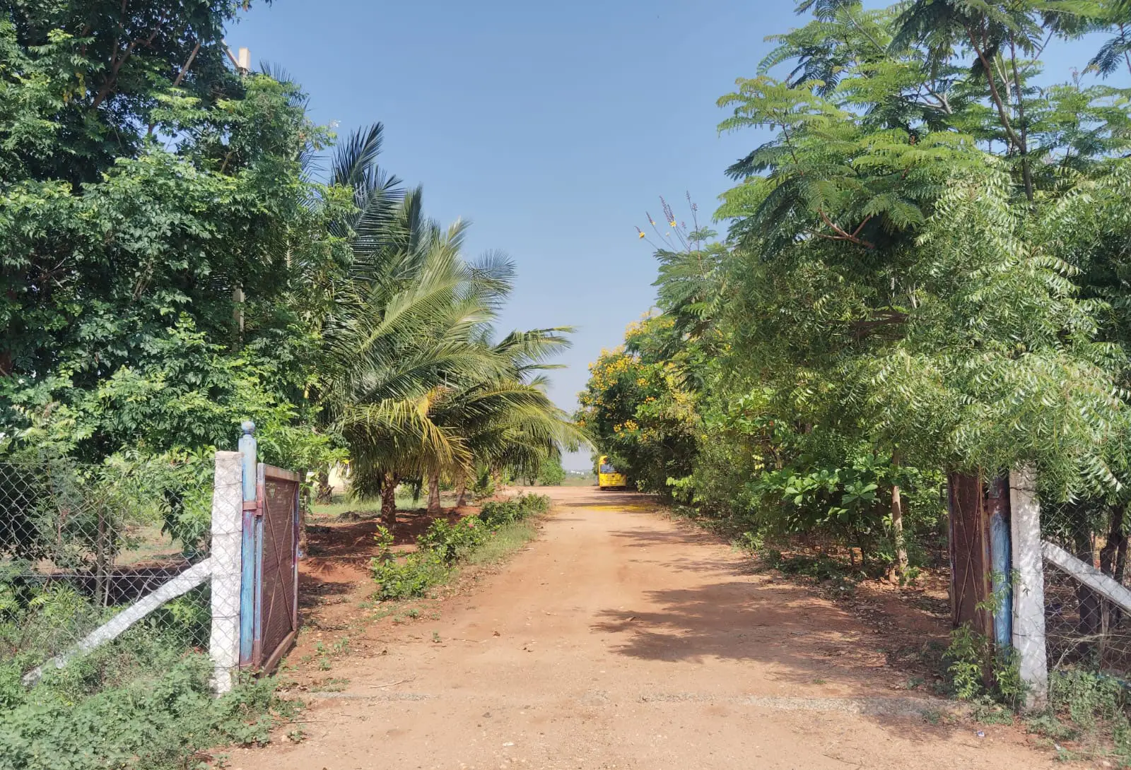 SURABI SCHOOL OF NURSING (Inst. Code – 514) campus
