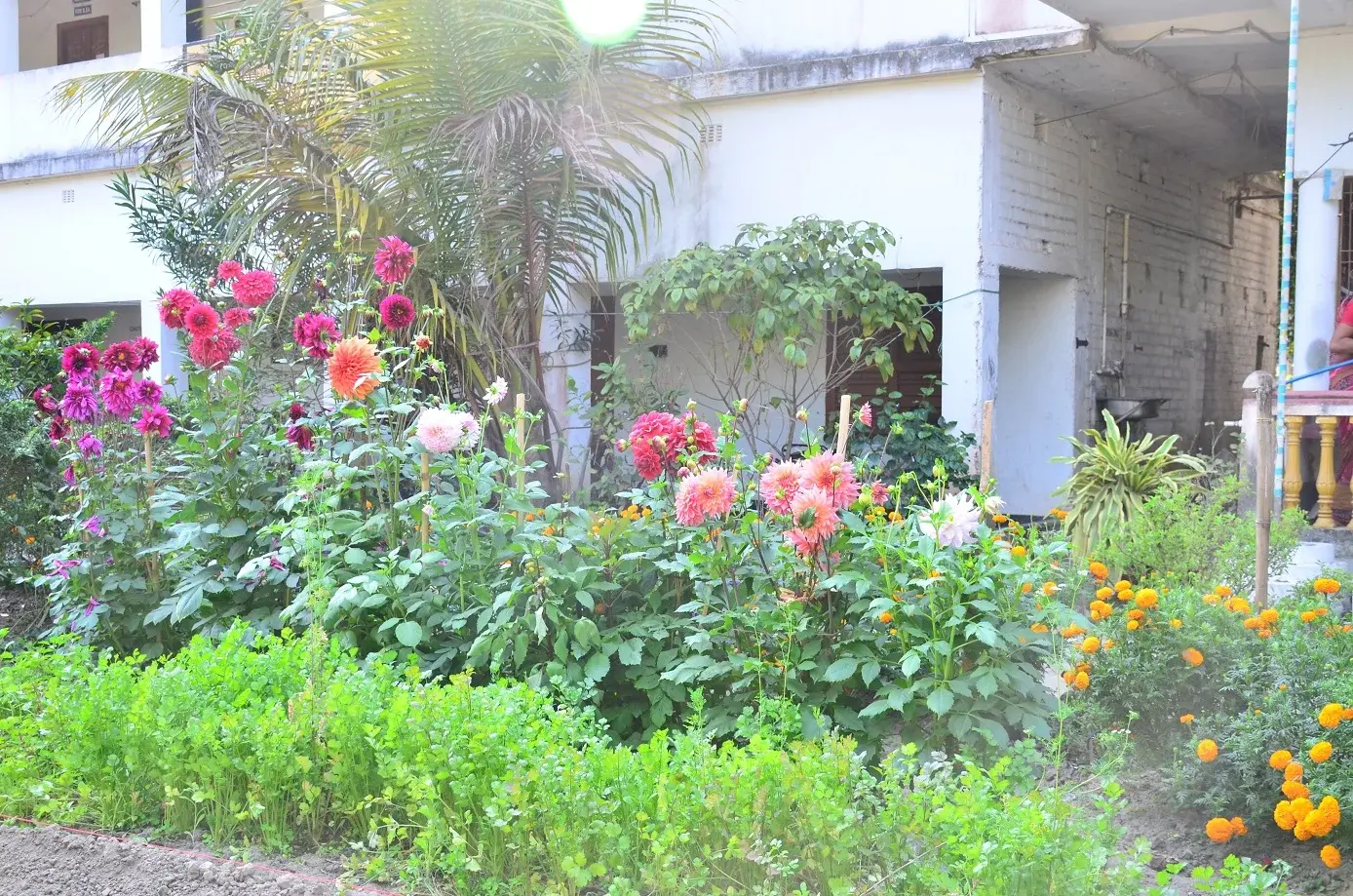 Vidyasagar Teachers Training Institute campus