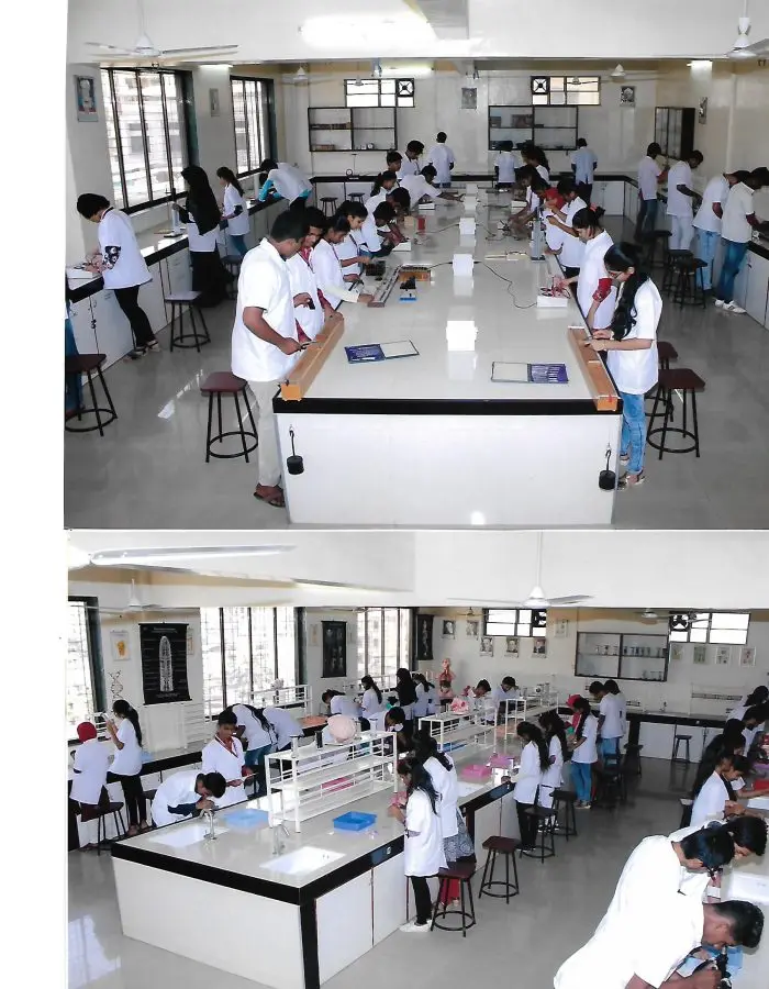 A.P.College: campus photo 7