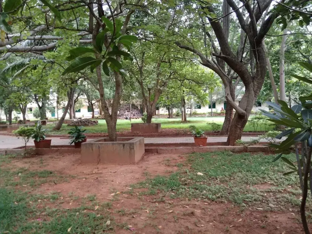 A P S campus
