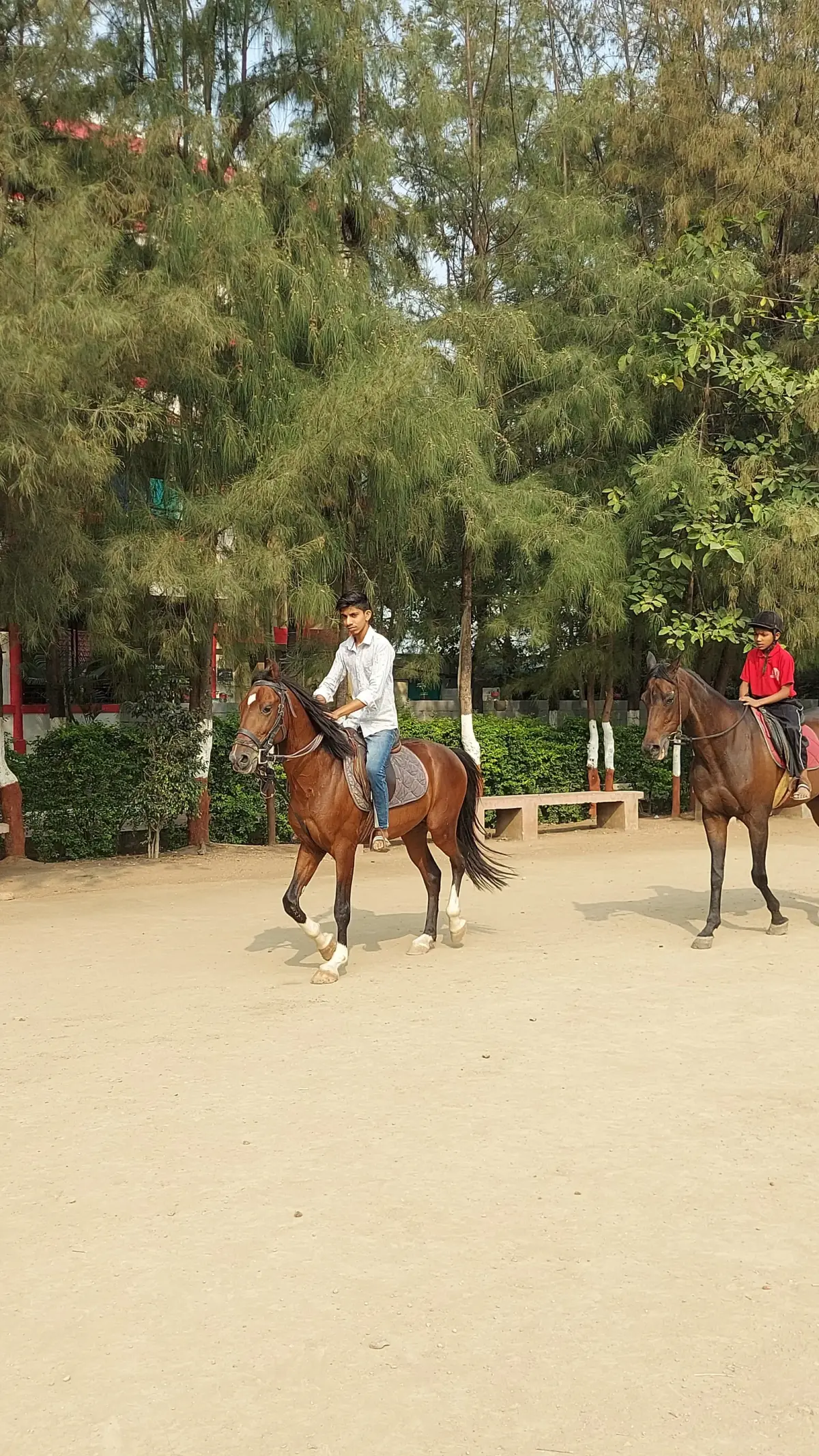 Abhinav Education Society'S Abhinav College of Science: campus photo 8