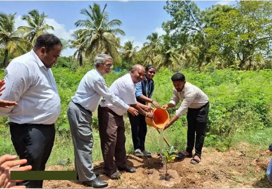Adichunchanagiri College of Agricultural Sciences campus