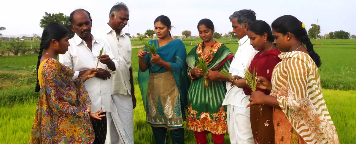 Agricultural College: campus photo 3
