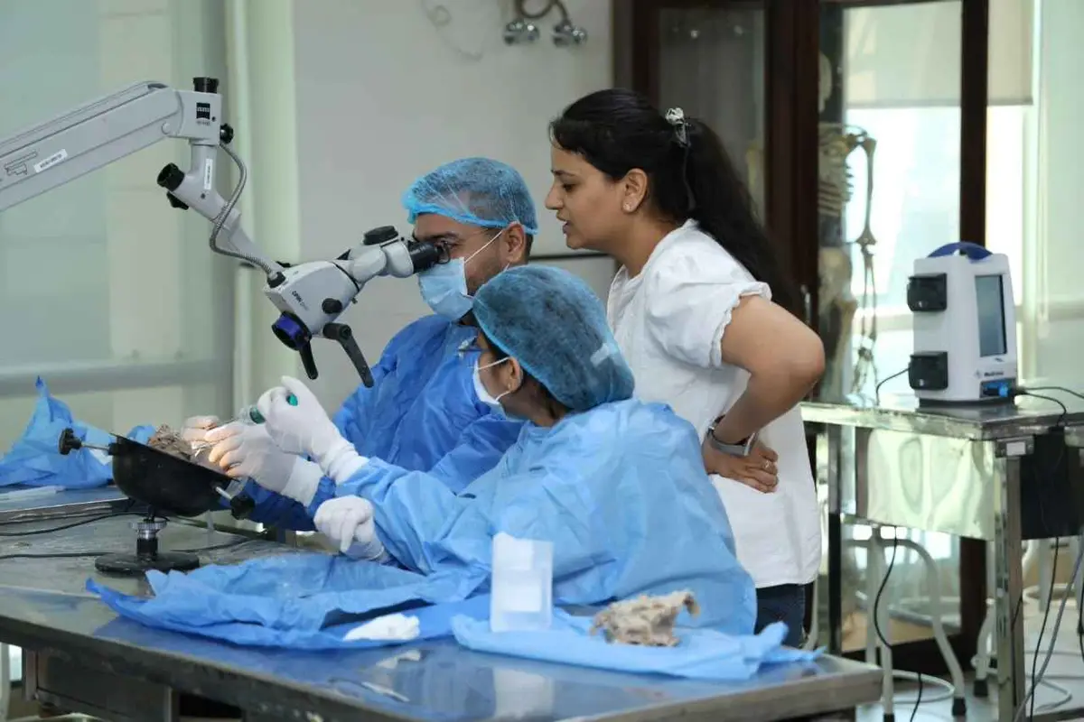 All India Institute of Medical Science: campus photo 8