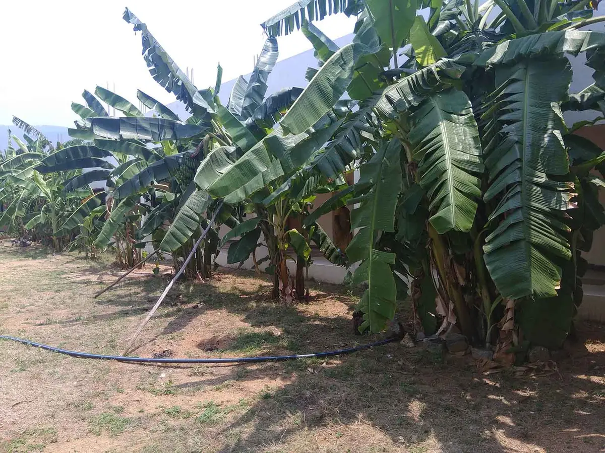 Amritalaya College of Education: campus photo 6