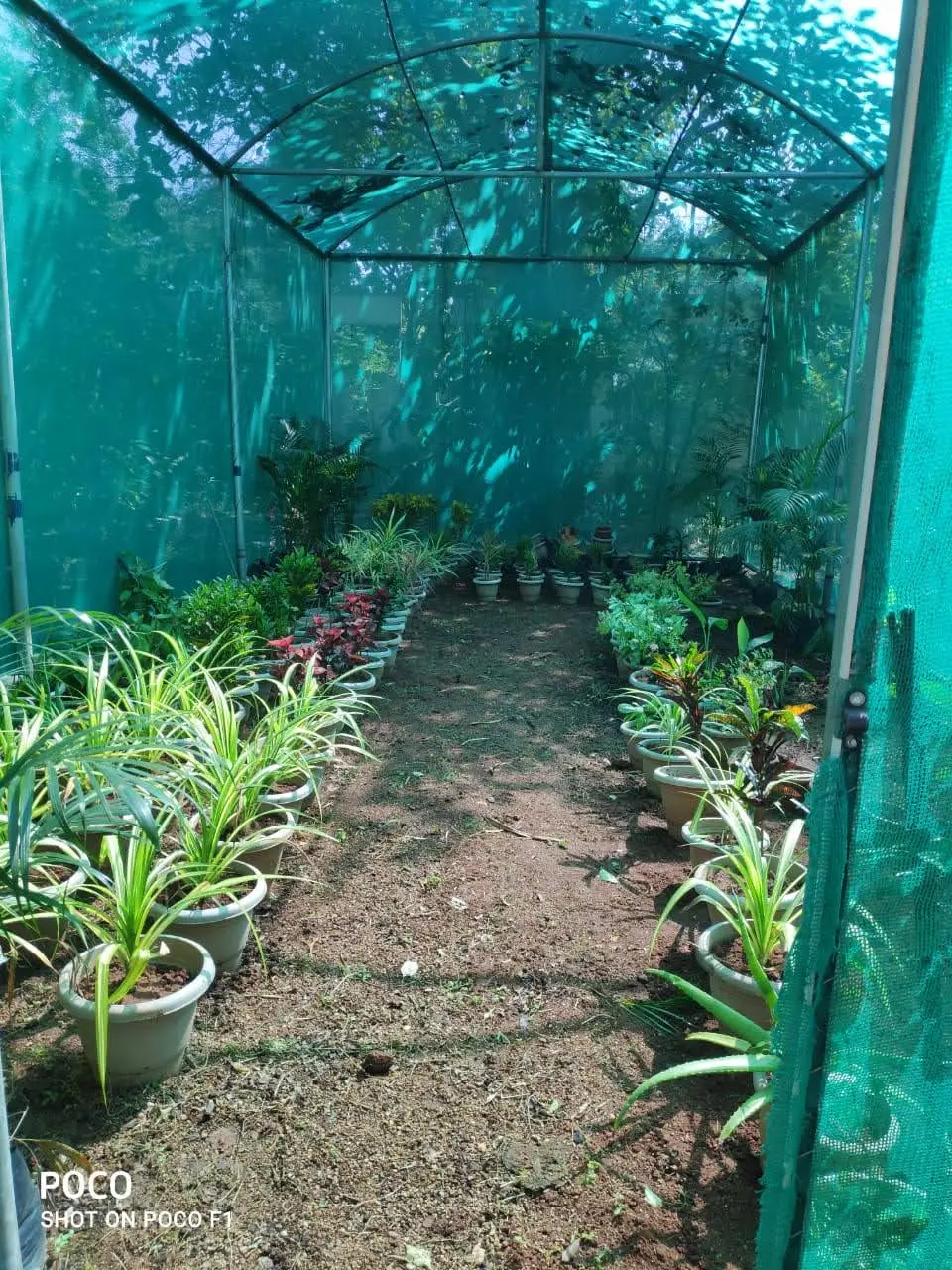 AMS Arts & Science College for Women campus photo 3
