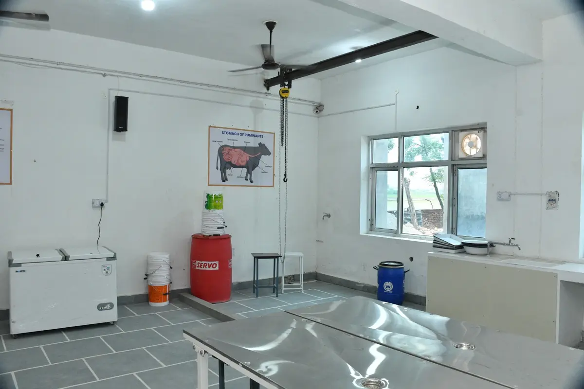 Apex Institute of Vldd: campus photo 2