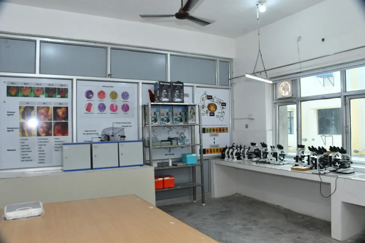 Apex Institute of Vldd: campus photo 1