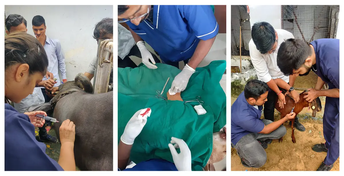 Apollo College of Veterinary Medicine – Rajasthan: campus photo 1