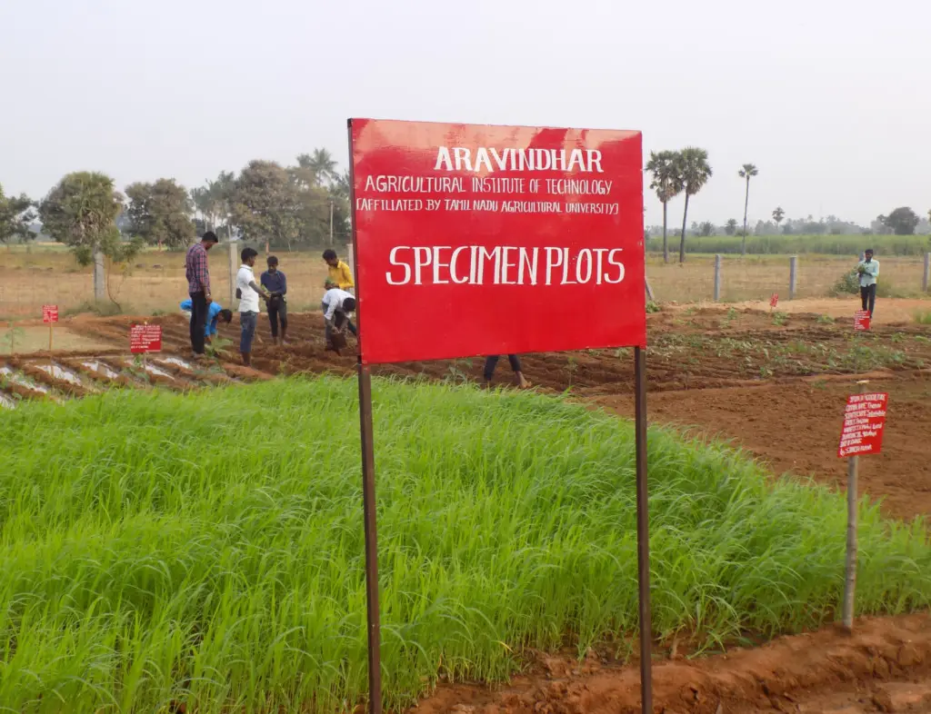 Aravindhar Agricultural Institute of Technology: campus photo 7