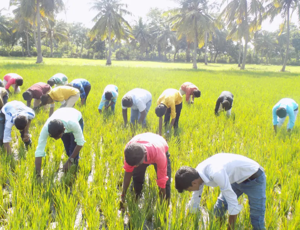 Aravindhar Agricultural Institute of Technology: campus photo 1
