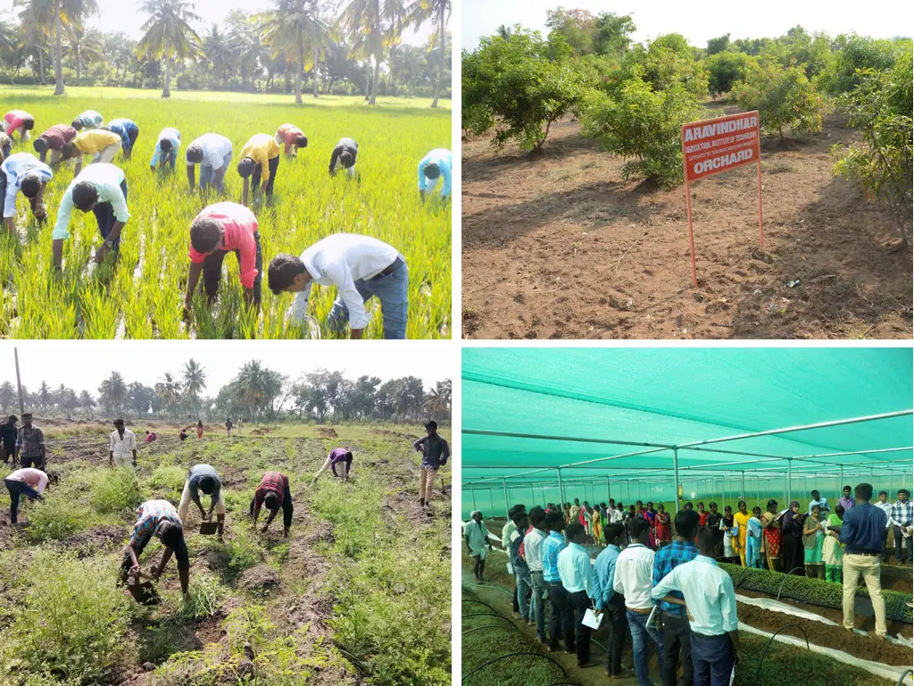 Aravindhar Agricultural Institute of Technology: campus photo 6