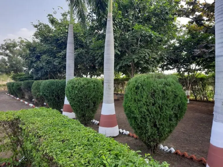 Arts and Science College: campus photo 3