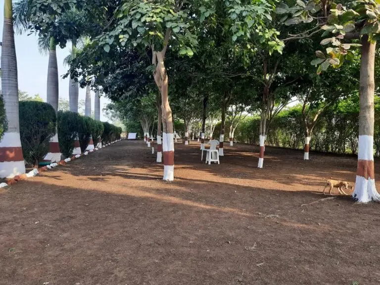 Arts and Science College: campus photo 6
