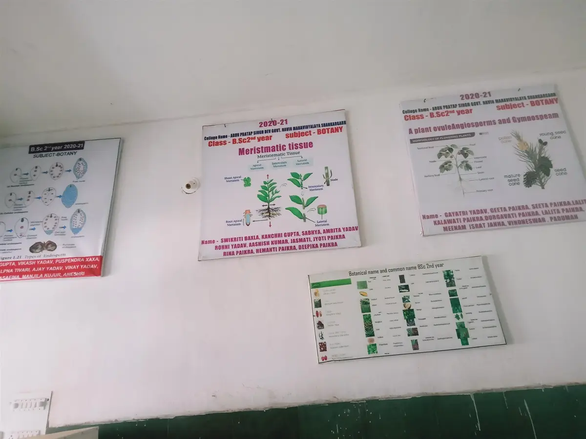 Arun Pratap Singh Dev Government College: campus photo 1