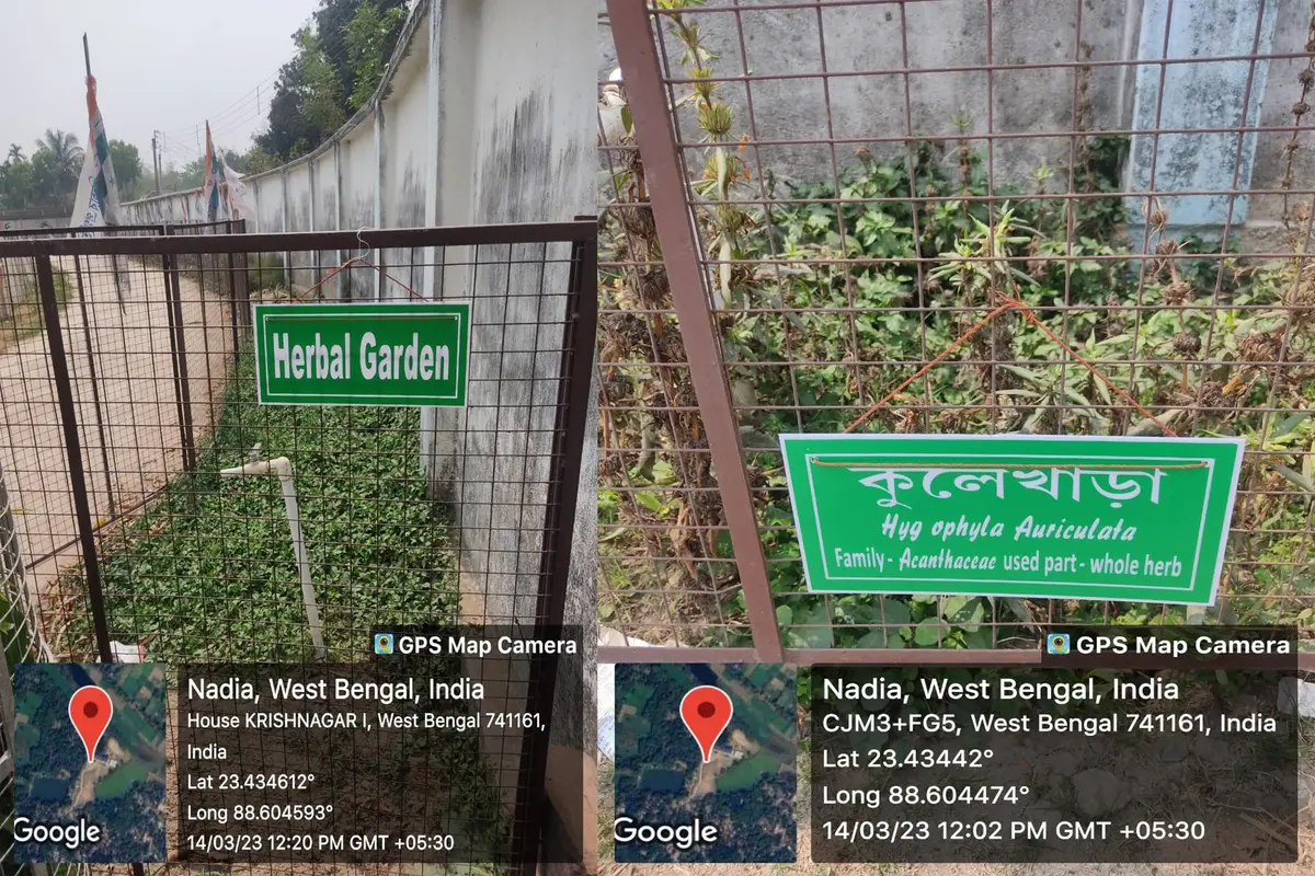 Asannagar Madan Mohan Tarkalankar College: campus photo 8