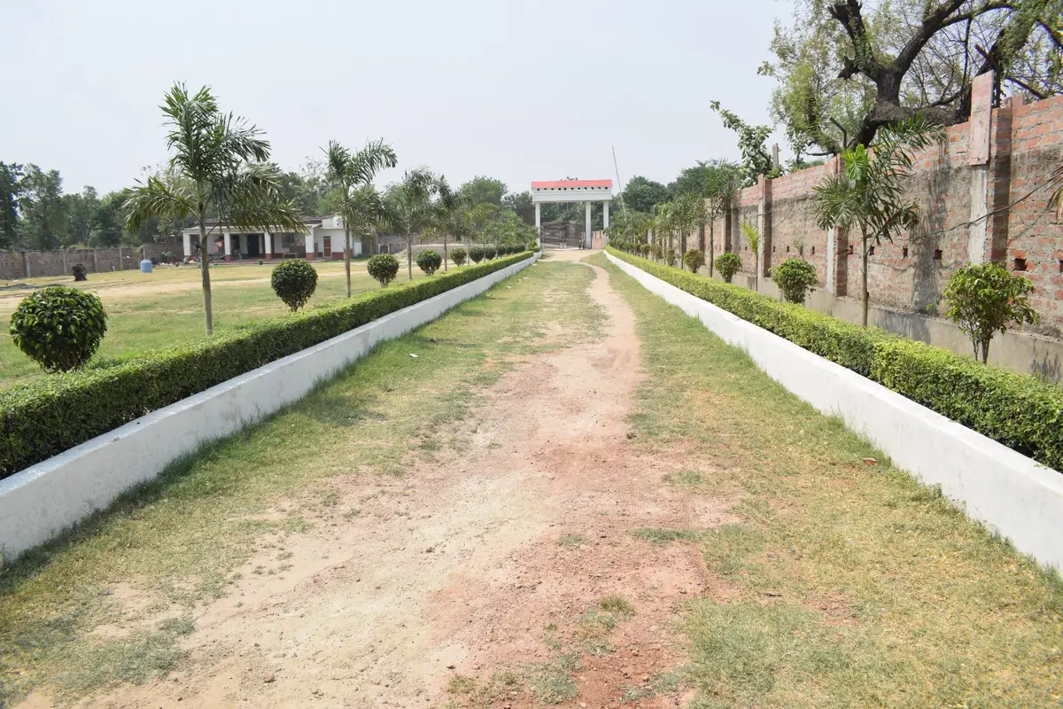 Awadh Bihari Singh Vidhi Mahavidyalaya Shrikantpur Urf Narayangarh: campus photo 5