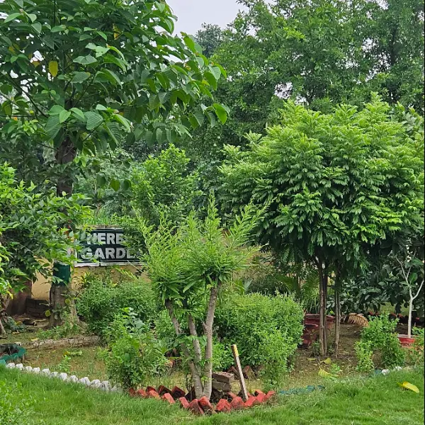 B R College of Nursing Rajepur Mallawan Bilgram Hardoi: campus photo 3