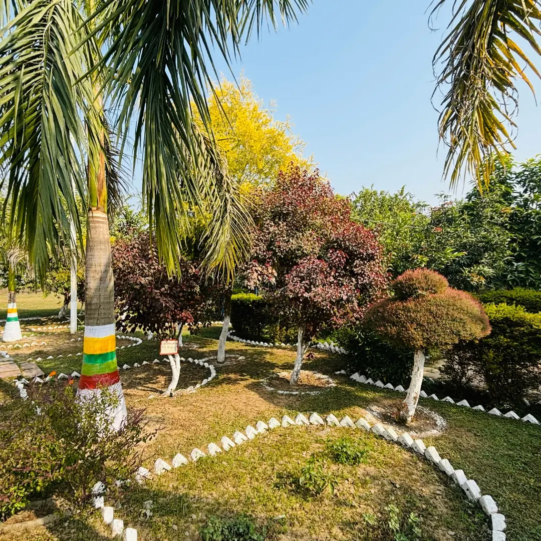 Baba Ajay Singh Khalsa College, Gurdas Nangal: campus photo 2