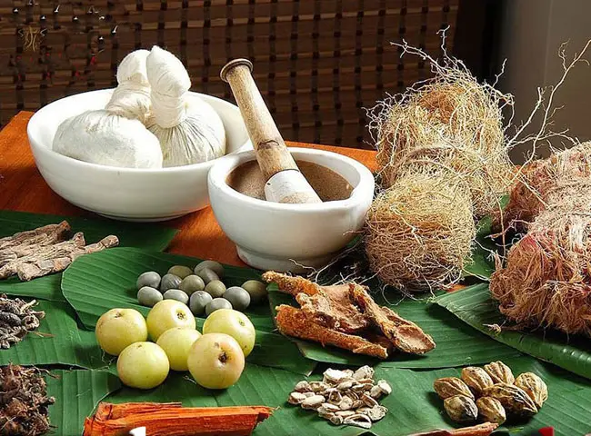 Babu Yugraj Singh Ayurvedic Medical College and Hospital: campus photo 4